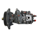 104641-1100R Rebuilt Diesel Kiki VE Injection Pump fits Diesel Engine - Goldfarb & Associates Inc