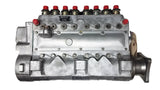 0-406-008-207R (64610 118) Rebuilt Injection Pump fits Marine Engine - Goldfarb & Associates Inc