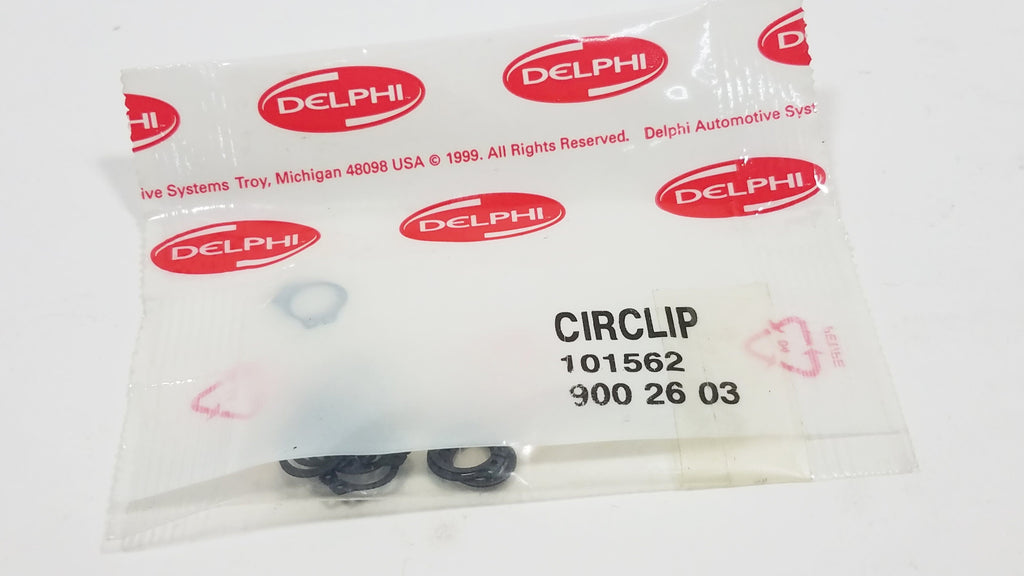 101562 New Delphi Circlip - Goldfarb & Associates Inc