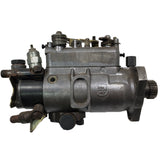 3443F481R (3443481; 060891PW) Rebuilt RotoDiesel Type 009 Pump Fits Diesel Tractor Engine - Goldfarb & Associates Inc