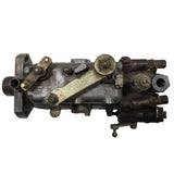 3443F481R (3443481; 060891PW) Rebuilt RotoDiesel Type 009 Pump Fits Diesel Tractor Engine - Goldfarb & Associates Inc