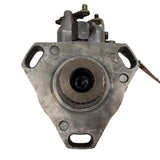 3443F481R (3443481; 060891PW) Rebuilt RotoDiesel Type 009 Pump Fits Diesel Tractor Engine - Goldfarb & Associates Inc