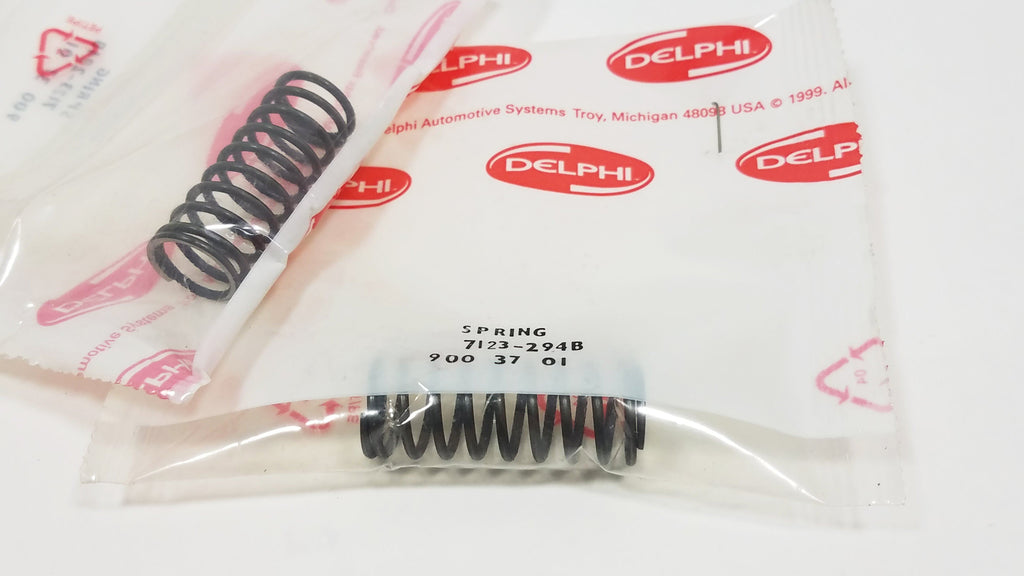 7123-294B New Delphi Spring