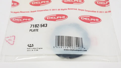 7182-543 New Delphi Plate - Goldfarb & Associates Inc