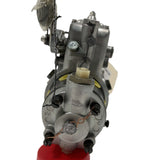 DBGFCC637-1DHR (01599 ; 10A21833) Rebuilt Roosamaster Injection Pump fits White Farm D4516 Tractor Engine - Goldfarb & Associates Inc