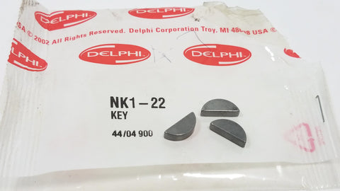 NK1-22 New Delphi Key - Goldfarb & Associates Inc